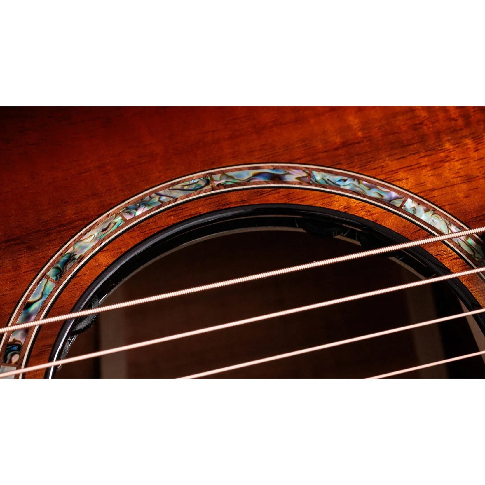 Đàn Guitar Acoustic Taylor Next Generation K24ce Special Edition - Shaded Edgeburst-Mai Nguyên Music