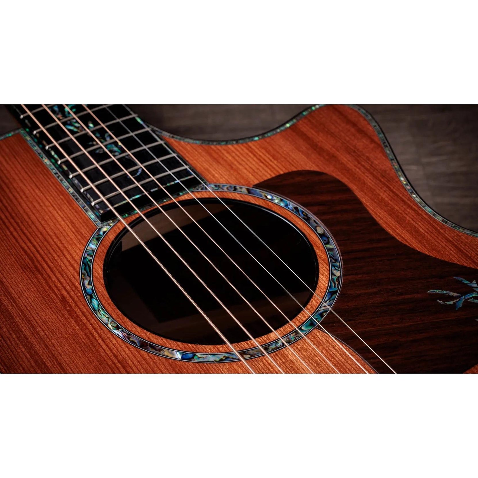 Đàn Guitar Acoustic Taylor Next Generation PS14ce - Natural-Mai Nguyên Music
