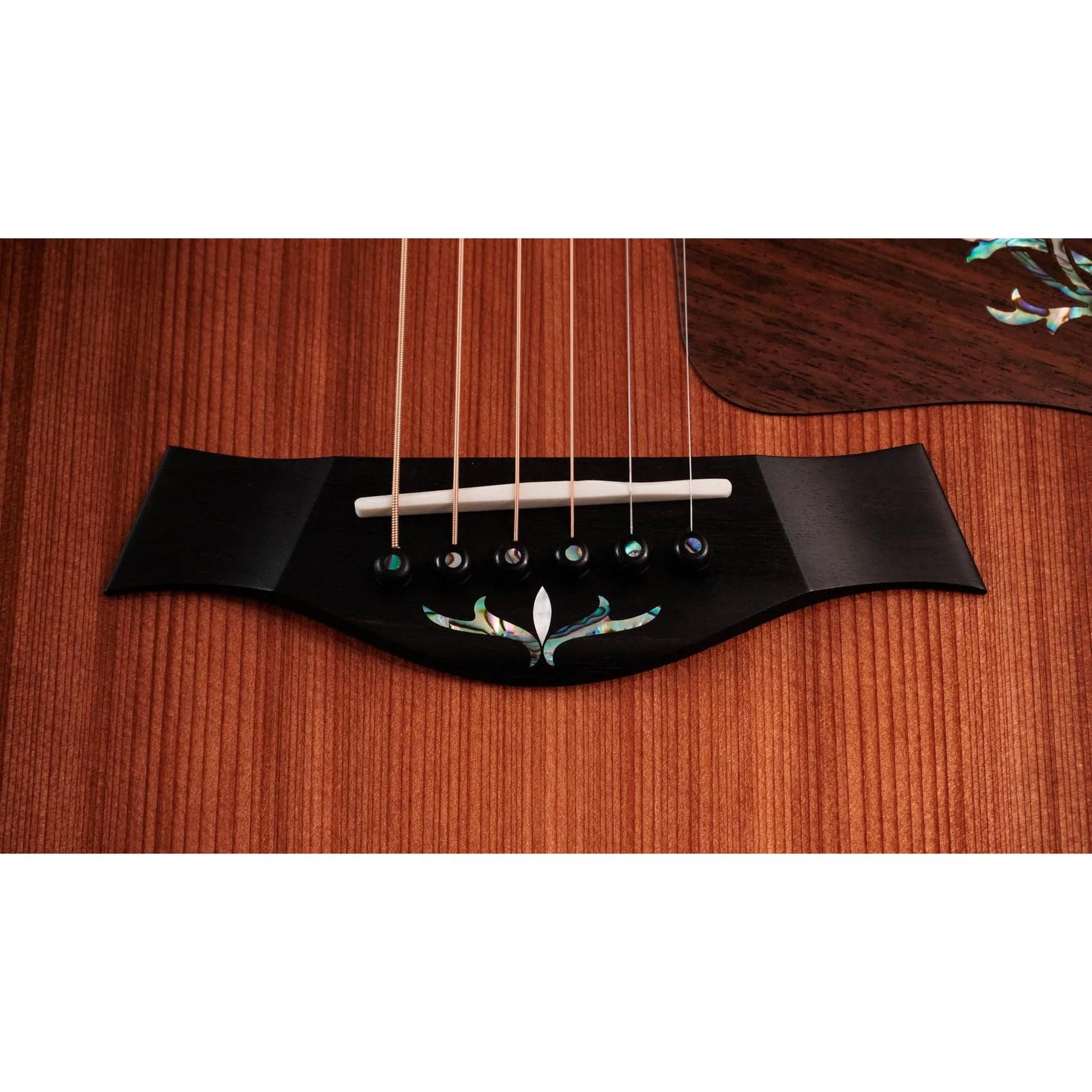Đàn Guitar Acoustic Taylor Next Generation PS14ce - Natural-Mai Nguyên Music