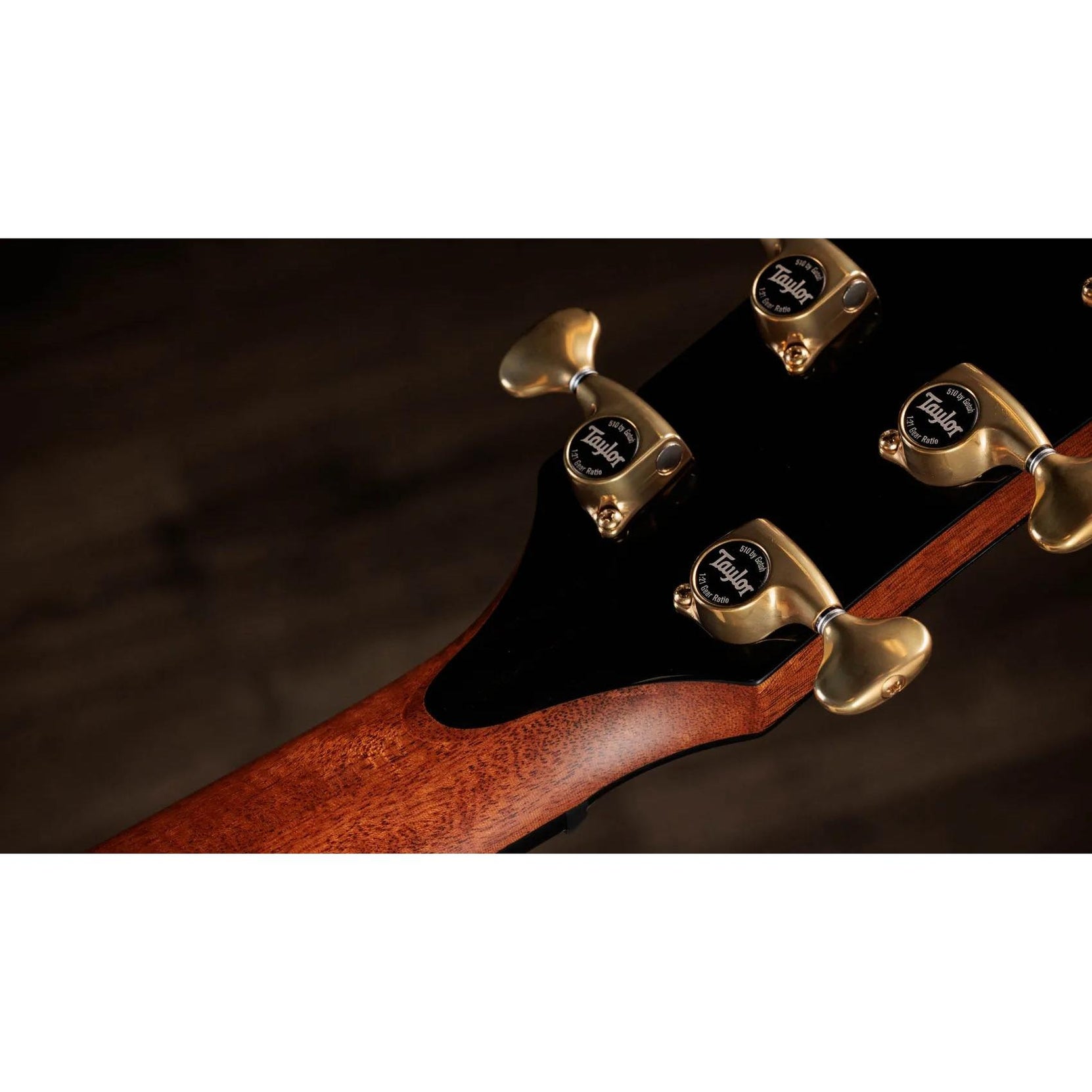 Đàn Guitar Acoustic Taylor Next Generation PS14ce - Natural-Mai Nguyên Music