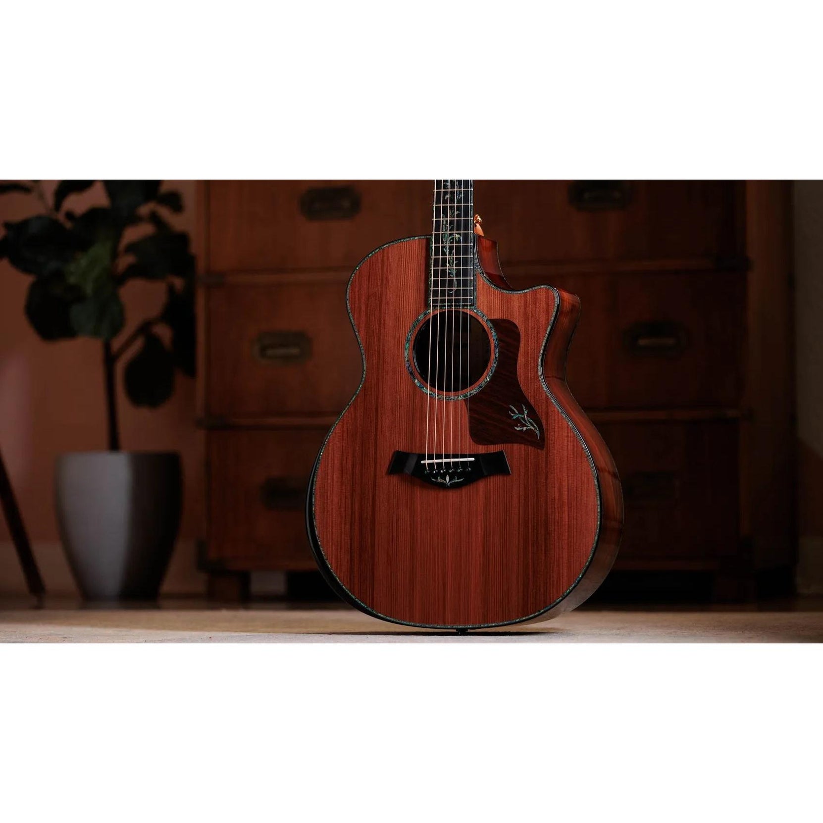 Đàn Guitar Acoustic Taylor Next Generation PS14ce - Natural-Mai Nguyên Music