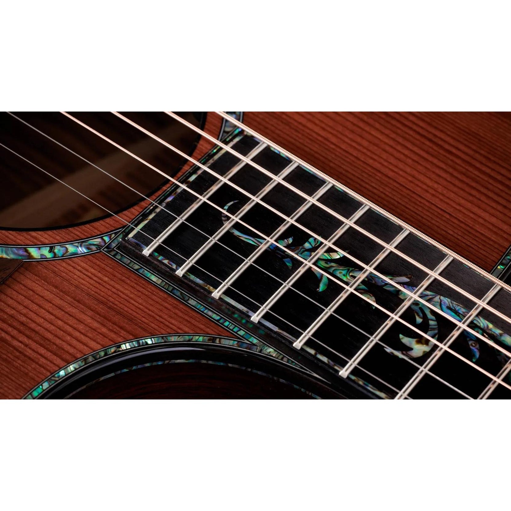 Đàn Guitar Acoustic Taylor Next Generation PS14ce - Natural-Mai Nguyên Music