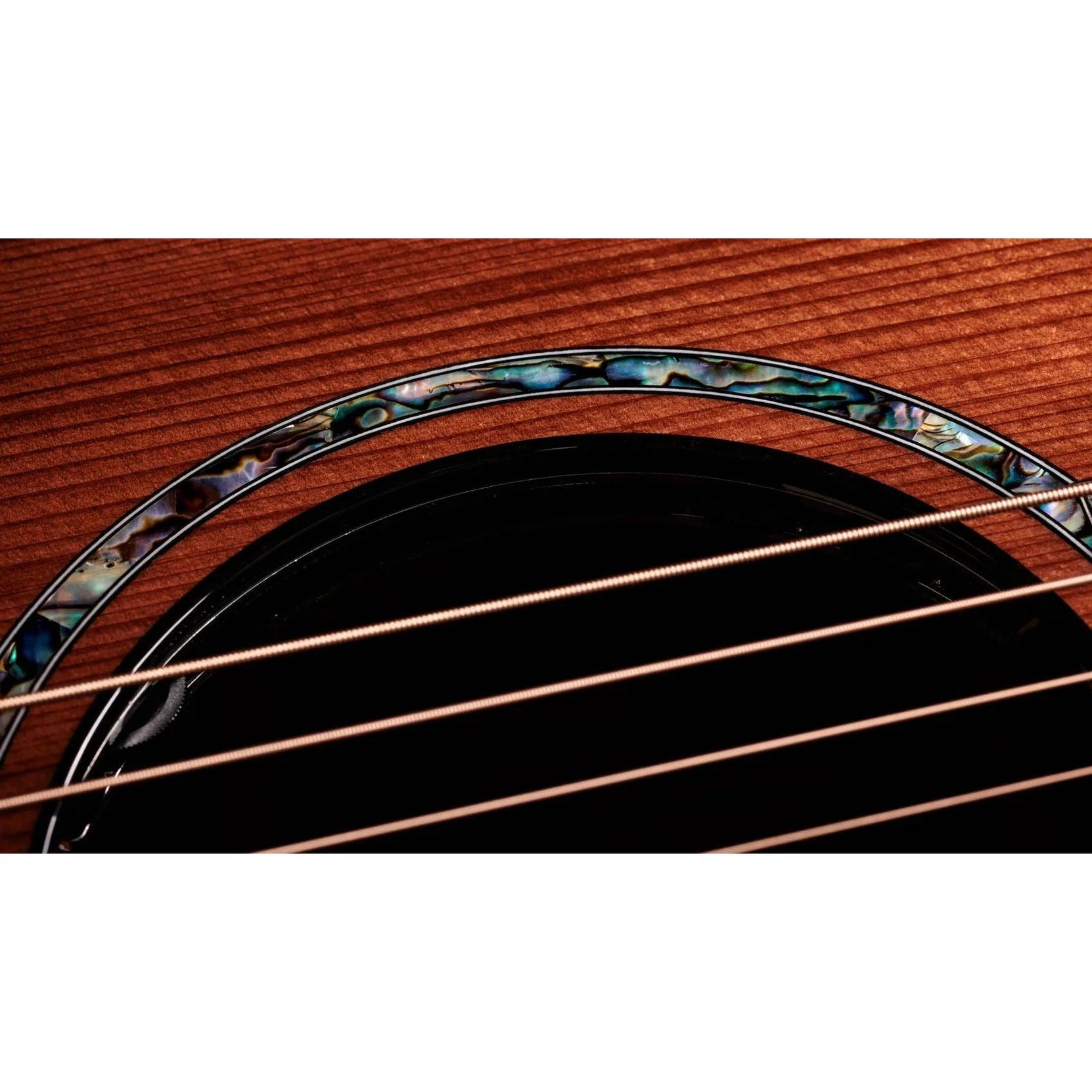 Đàn Guitar Acoustic Taylor Next Generation PS14ce - Natural-Mai Nguyên Music