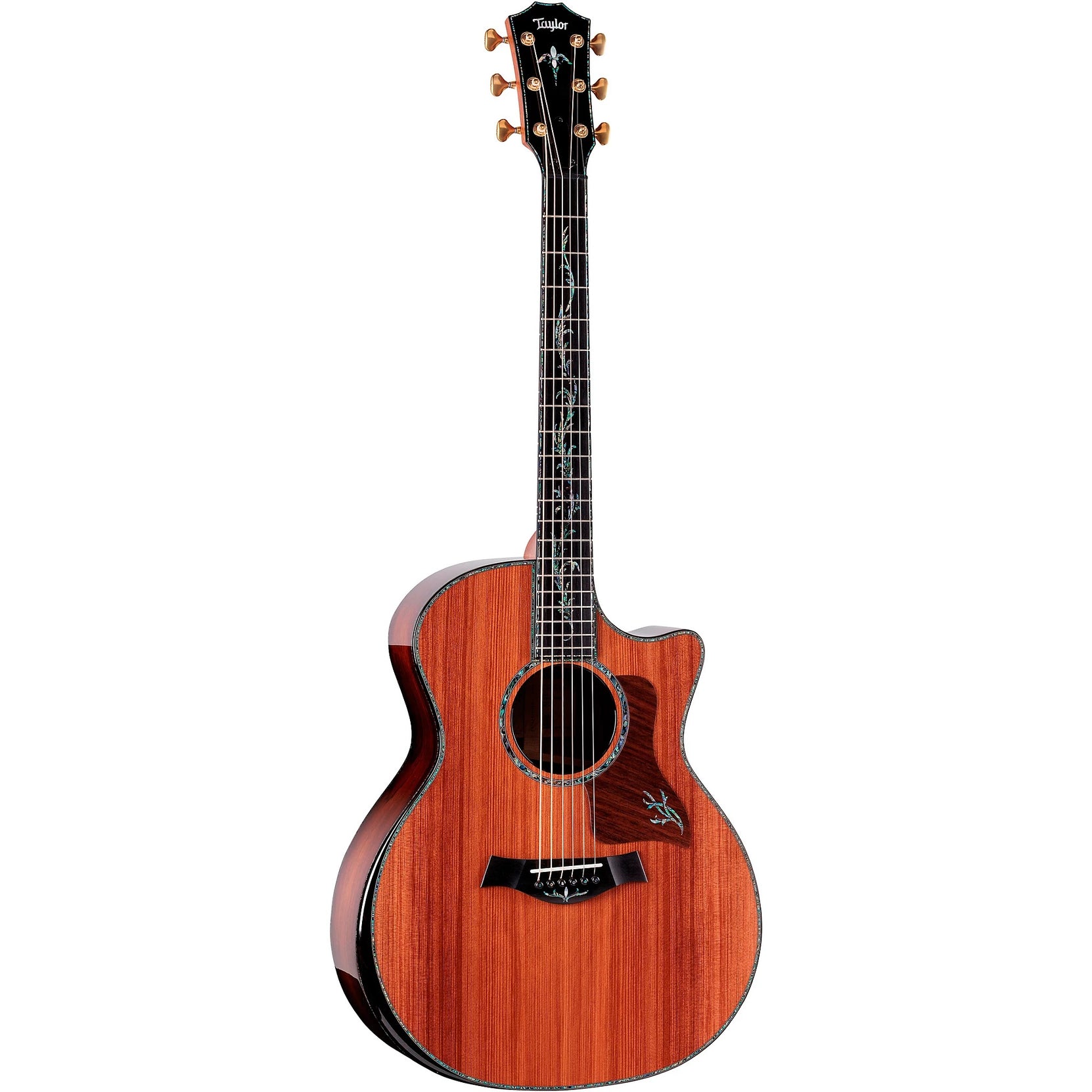 Đàn Guitar Acoustic Taylor Next Generation PS14ce - Natural-Mai Nguyên Music