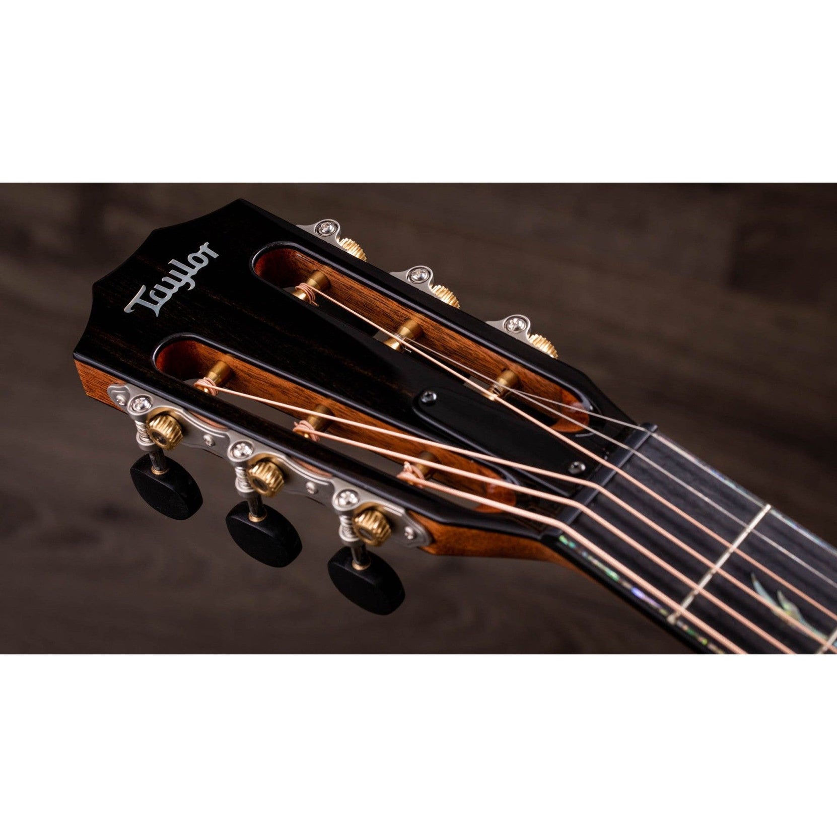 Đàn Guitar Acoustic Taylor PS12ce 12-Fret Honduran Rosewood-Mai Nguyên Music