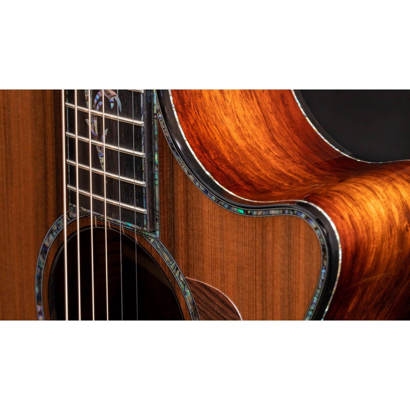 Đàn Guitar Acoustic Taylor PS12ce 12-Fret Honduran Rosewood-Mai Nguyên Music