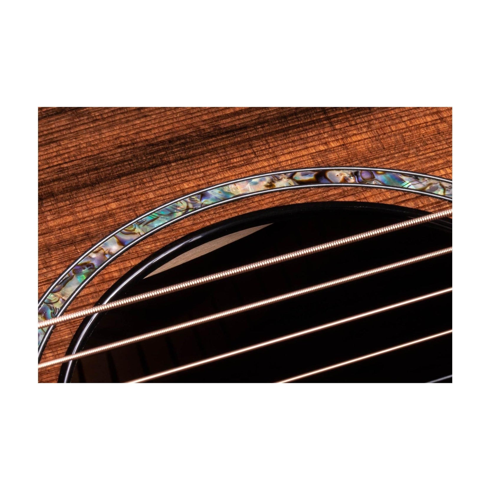 Đàn Guitar Acoustic Taylor PS12ce Honduran Rosewood-Mai Nguyên Music