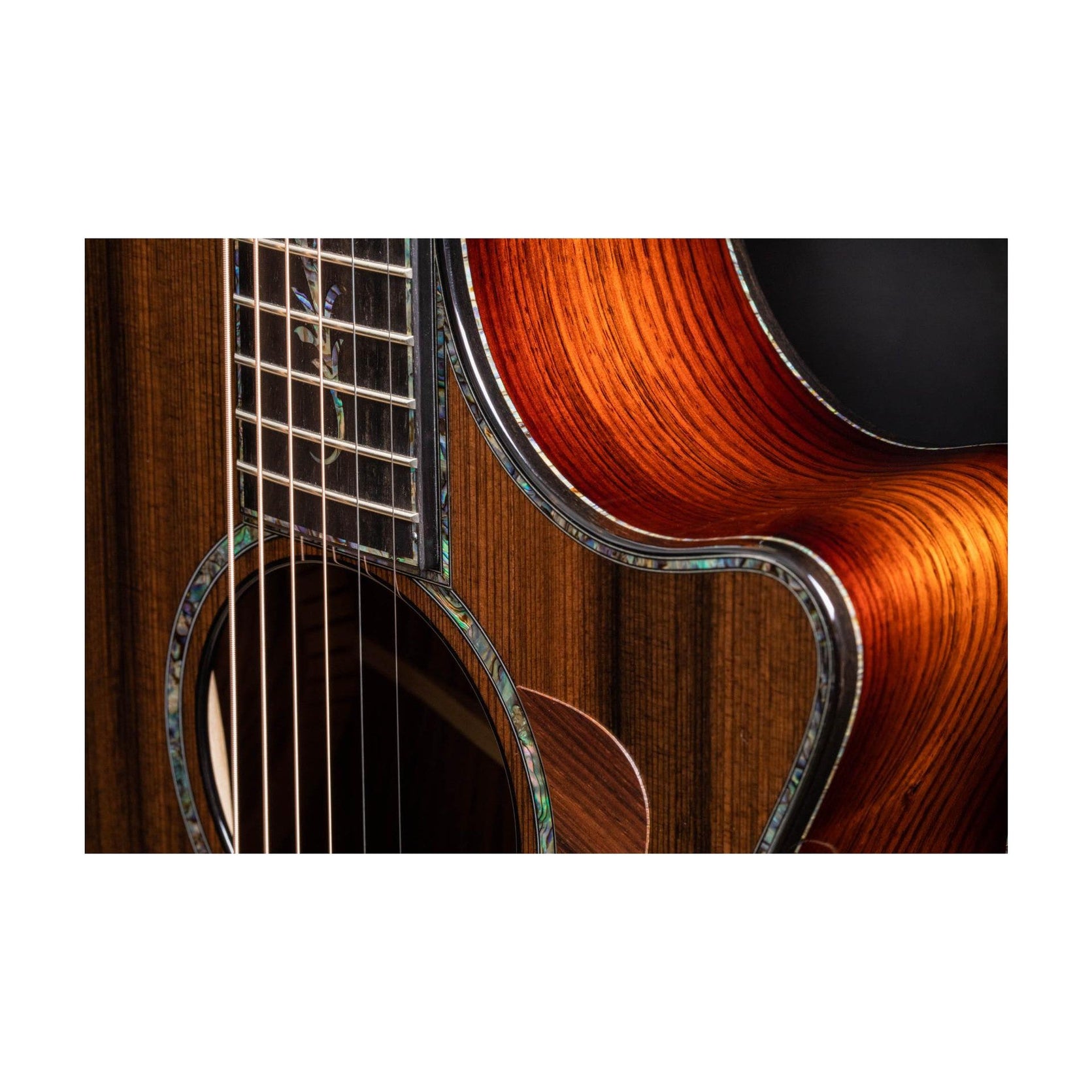 Đàn Guitar Acoustic Taylor PS12ce Honduran Rosewood-Mai Nguyên Music