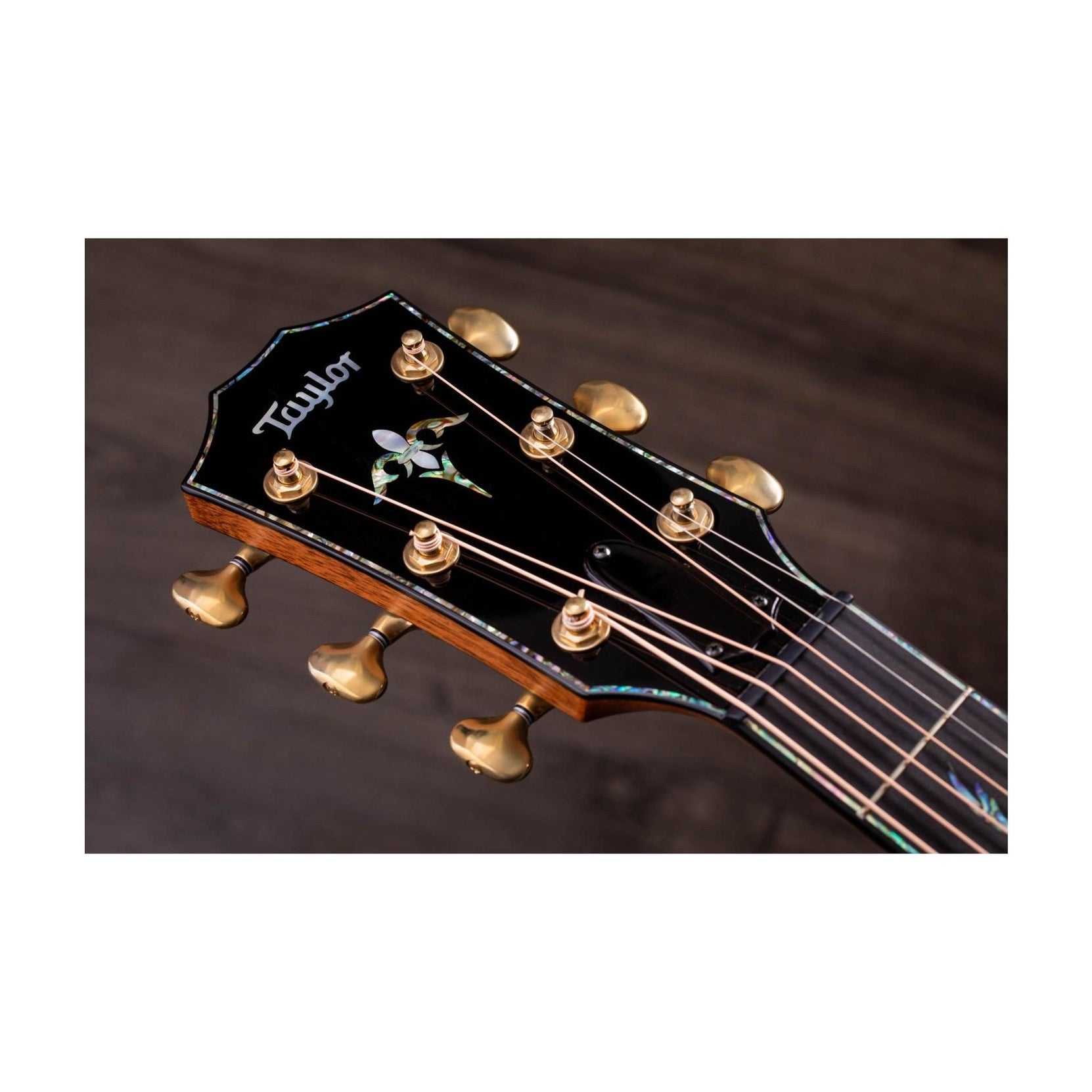 Đàn Guitar Acoustic Taylor PS12ce Honduran Rosewood-Mai Nguyên Music