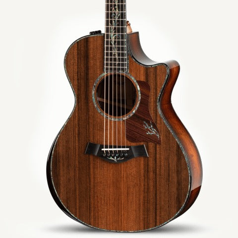 Đàn Guitar Acoustic Taylor PS12ce Honduran Rosewood-Mai Nguyên Music