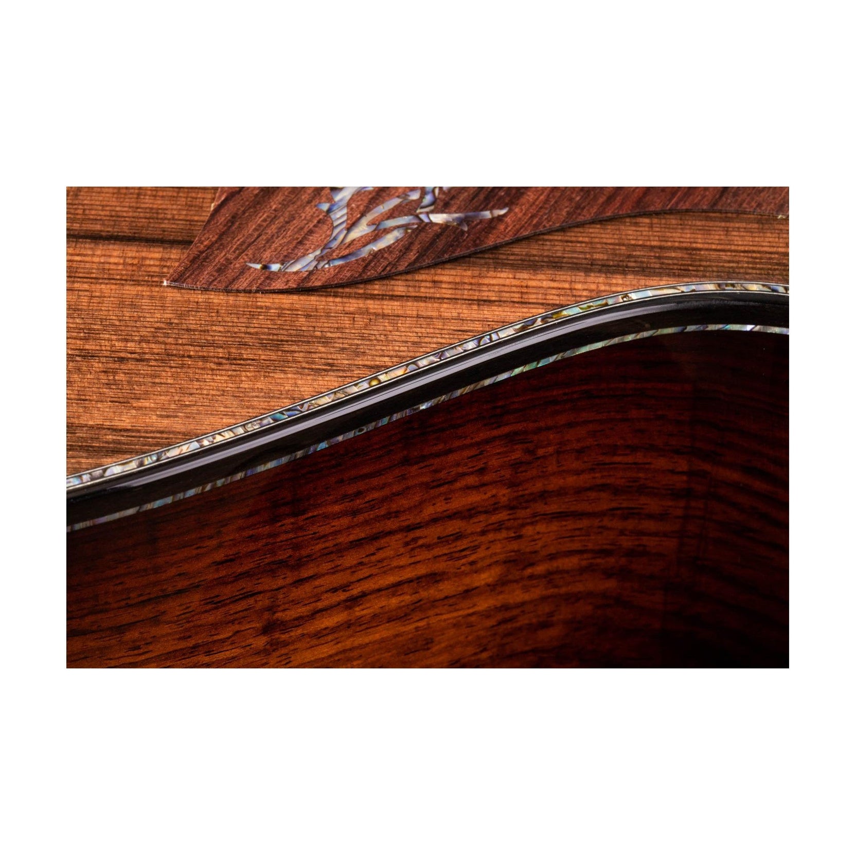 Đàn Guitar Acoustic Taylor PS12ce Honduran Rosewood-Mai Nguyên Music