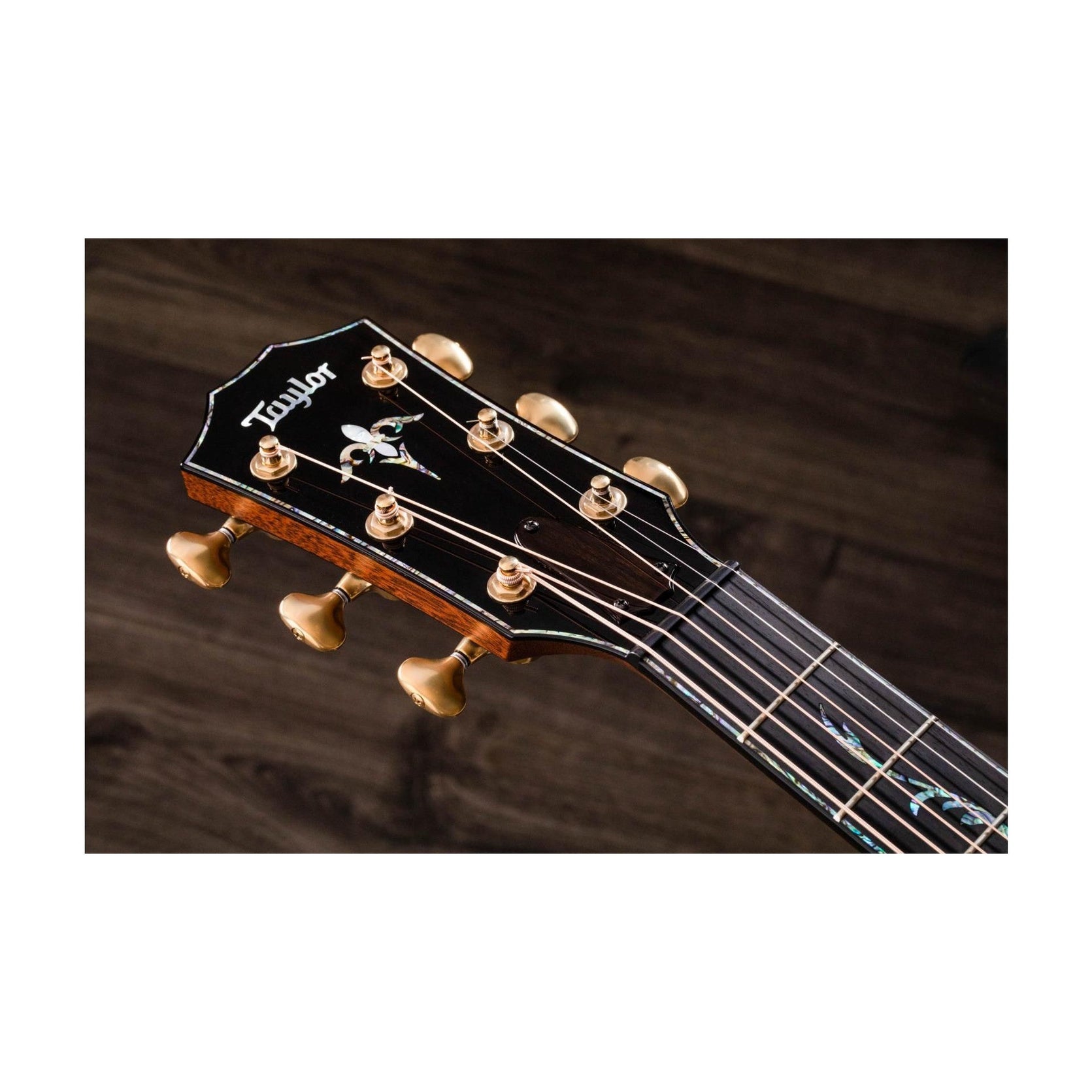 Đàn Guitar Acoustic Taylor PS14ce Honduran Rosewood-Mai Nguyên Music