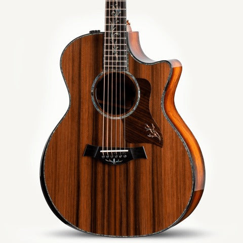 Đàn Guitar Acoustic Taylor PS14ce Honduran Rosewood-Mai Nguyên Music