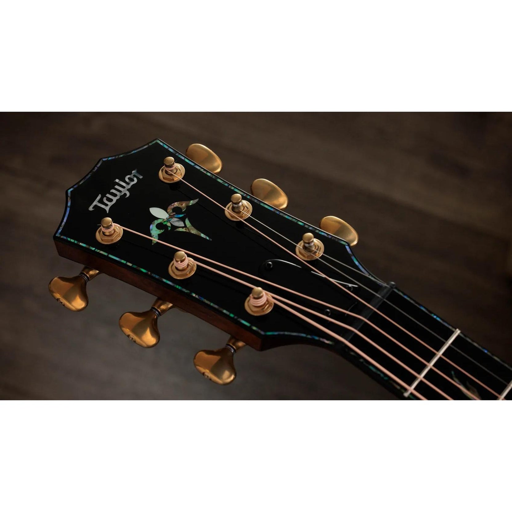 Đàn Guitar Acoustic Taylor PS14ce Ironbark/Sinker Redwood - Tobacco-Mai Nguyên Music