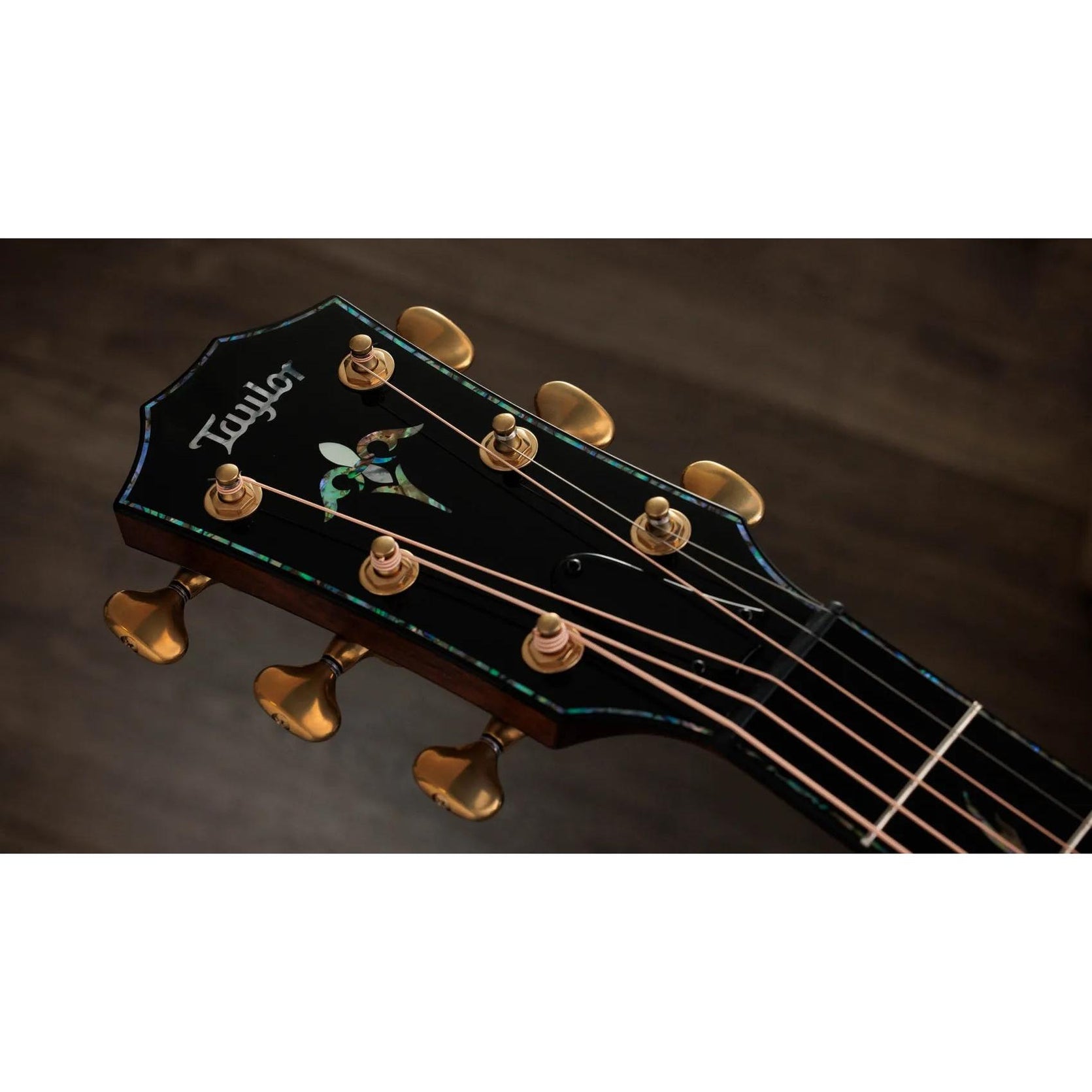 Đàn Guitar Acoustic Taylor PS14ce Ironbark/Sinker Redwood - Tobacco-Mai Nguyên Music