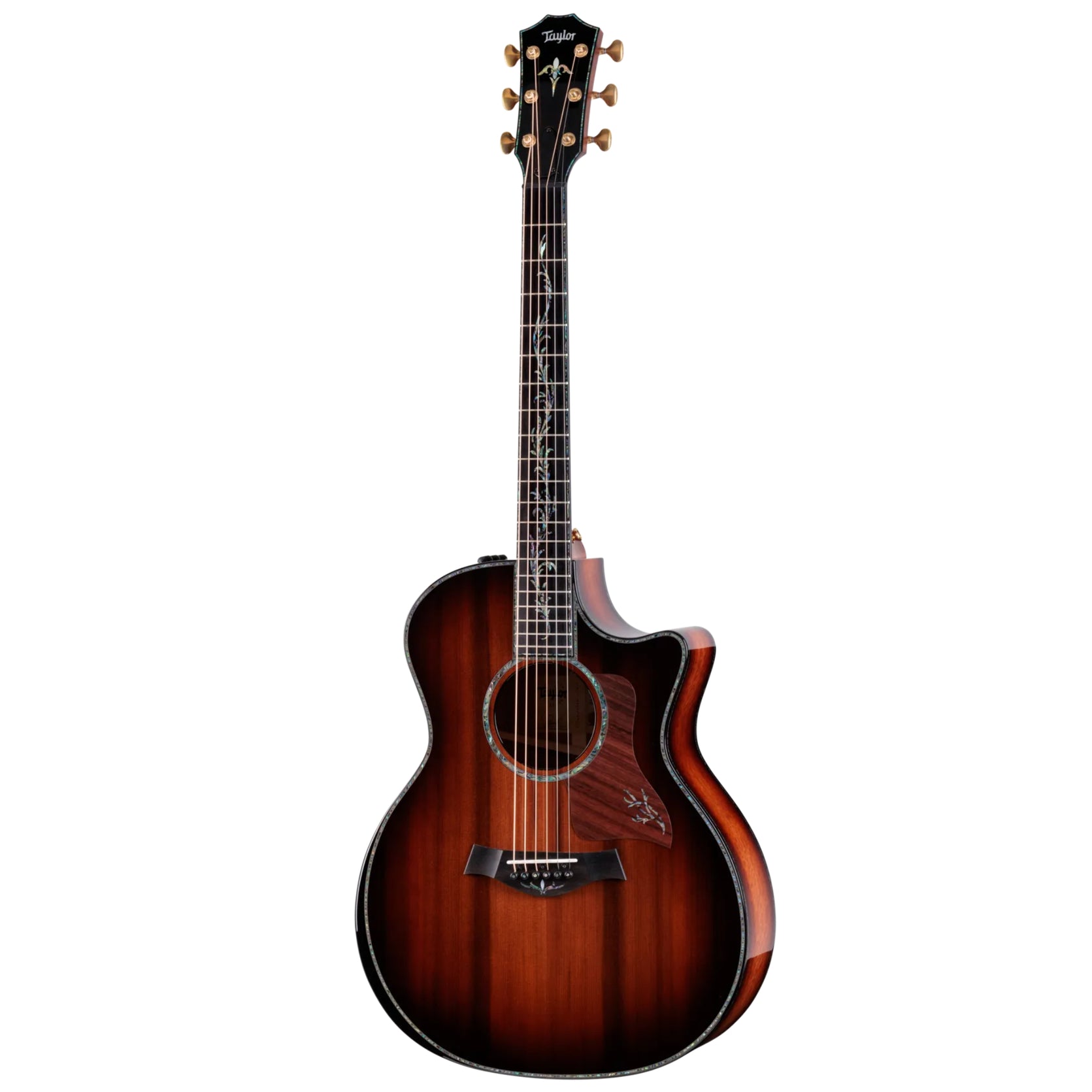 Đàn Guitar Acoustic Taylor PS14ce Ironbark/Sinker Redwood - Tobacco-Mai Nguyên Music