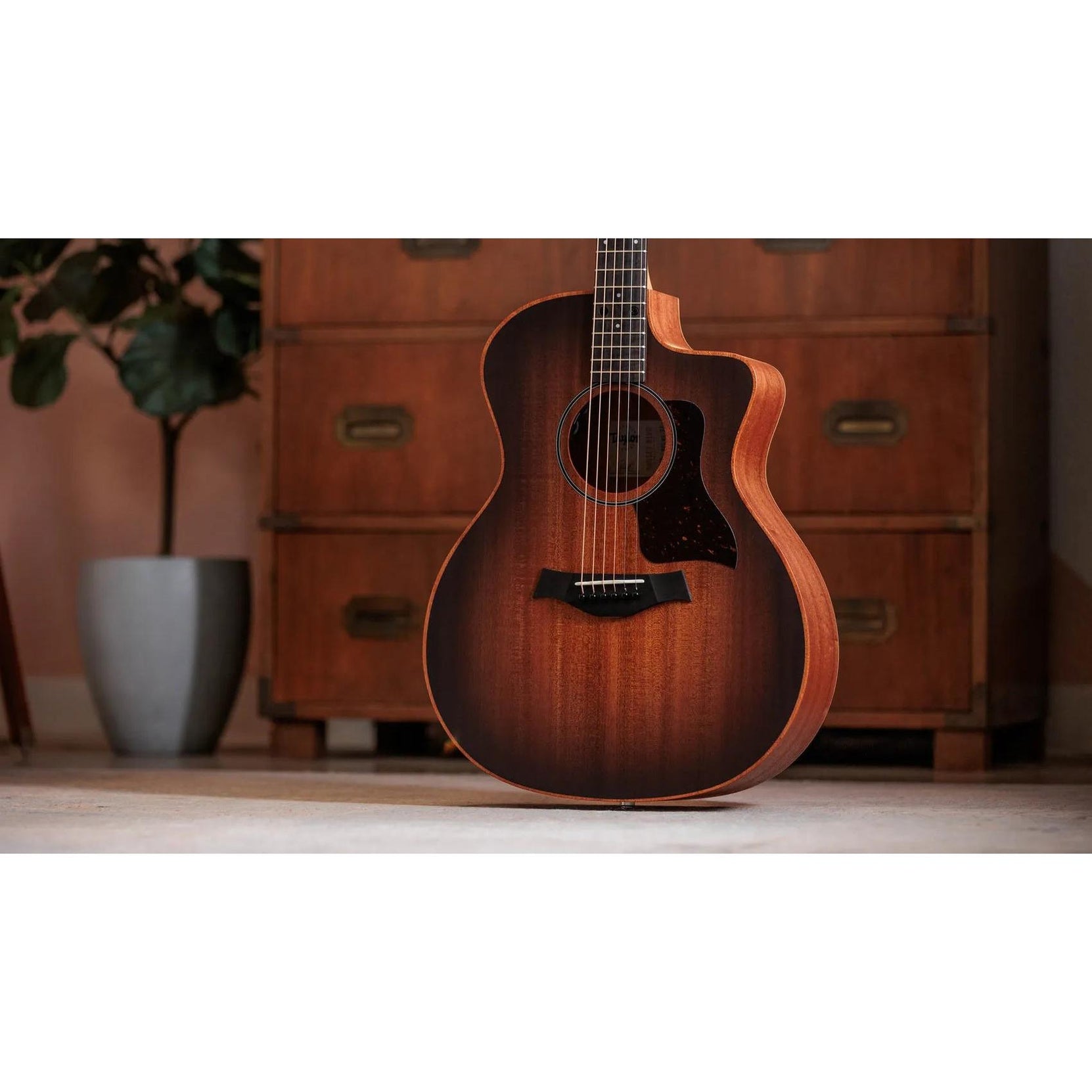 Đàn Guitar Acoustic Taylor Sunset Blvd 24ce - Sunset Edgeburst-Mai Nguyên Music