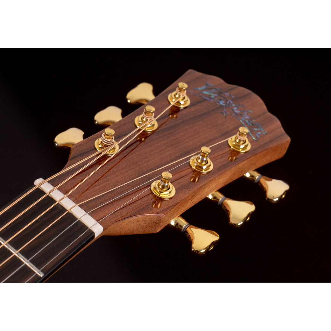 Đàn Guitar Acoustic Washburn Elegante S24S-Mai Nguyên Music