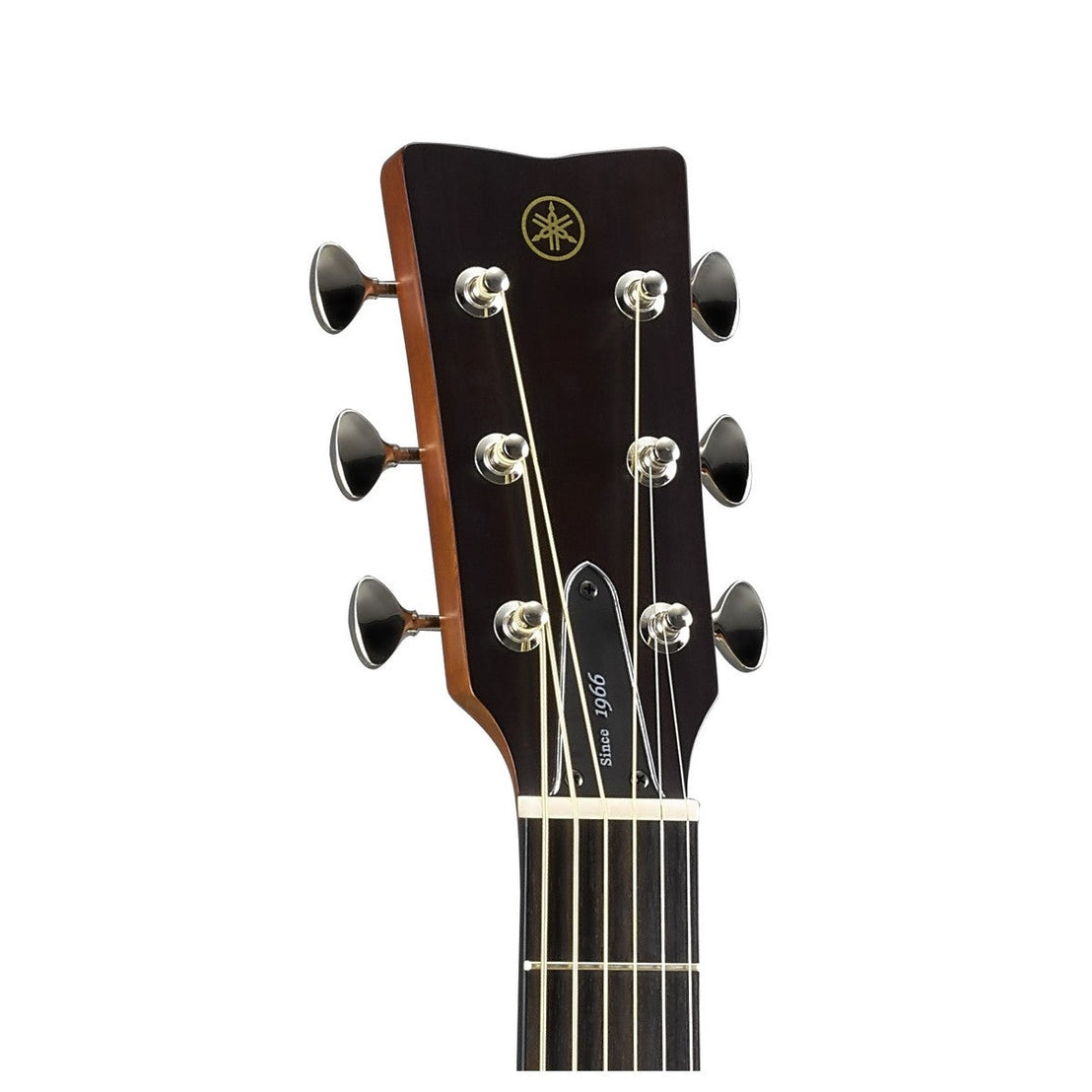 Đàn Guitar Acoustic Yamaha FGX5-Mai Nguyên Music