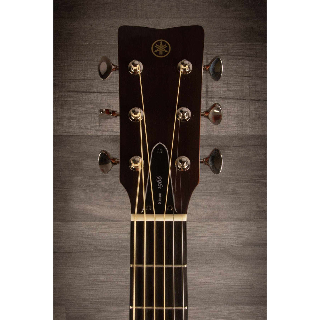 Đàn Guitar Acoustic Yamaha FS5-Mai Nguyên Music