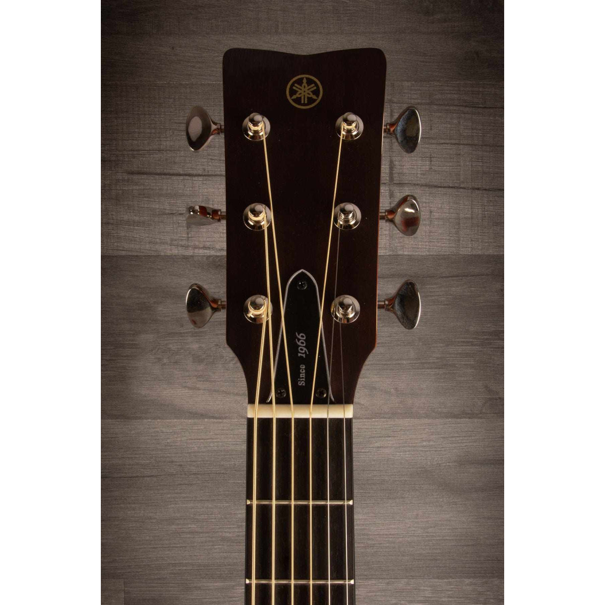 Đàn Guitar Acoustic Yamaha FS5-Mai Nguyên Music