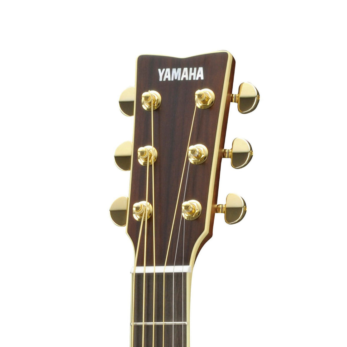 Đàn Guitar Acoustic Yamaha LL16M ARE-Mai Nguyên Music