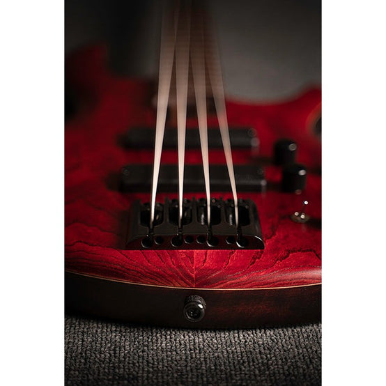 Đàn Guitar Bass 4-dây Cort B4 Element-Mai Nguyên Music