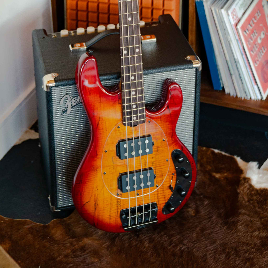 Đàn Guitar Bass 4-dây Sterling S.U.B StingRay RAY34HH, Spalted Maple Top-Mai Nguyên Music