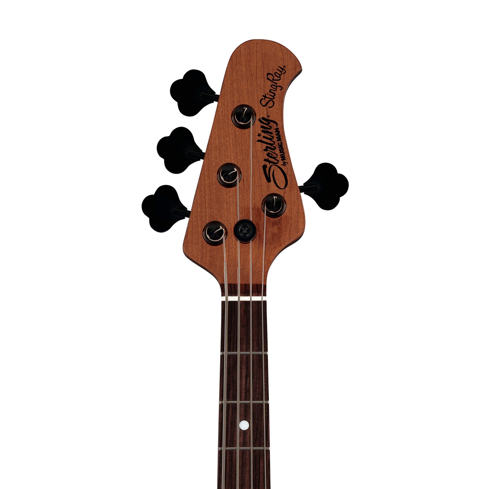 Đàn Guitar Bass 4-dây Sterling StingRay Short Scale RaySS4-Mai Nguyên Music
