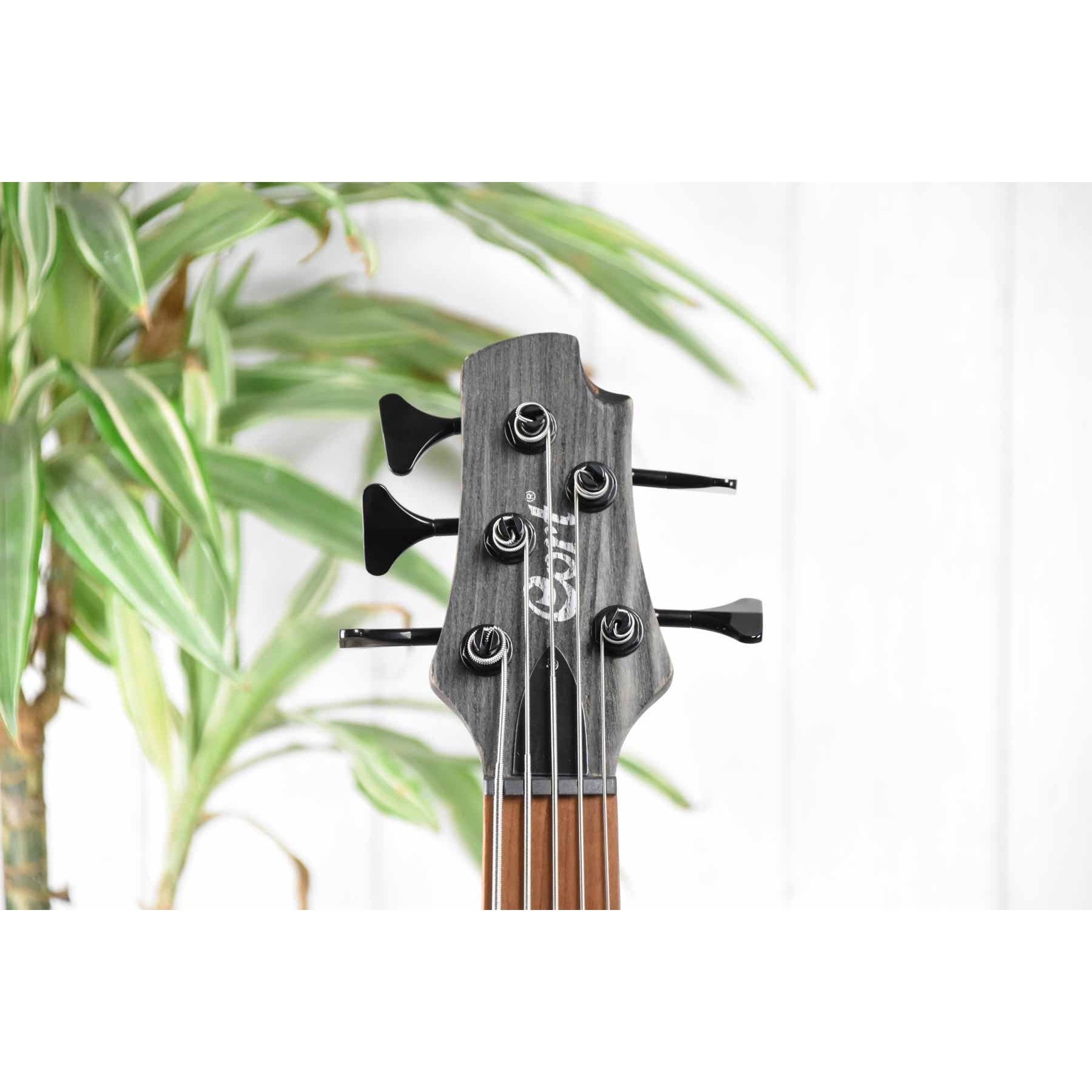 Đàn Guitar Bass 5-dây Cort B5 Element-Mai Nguyên Music