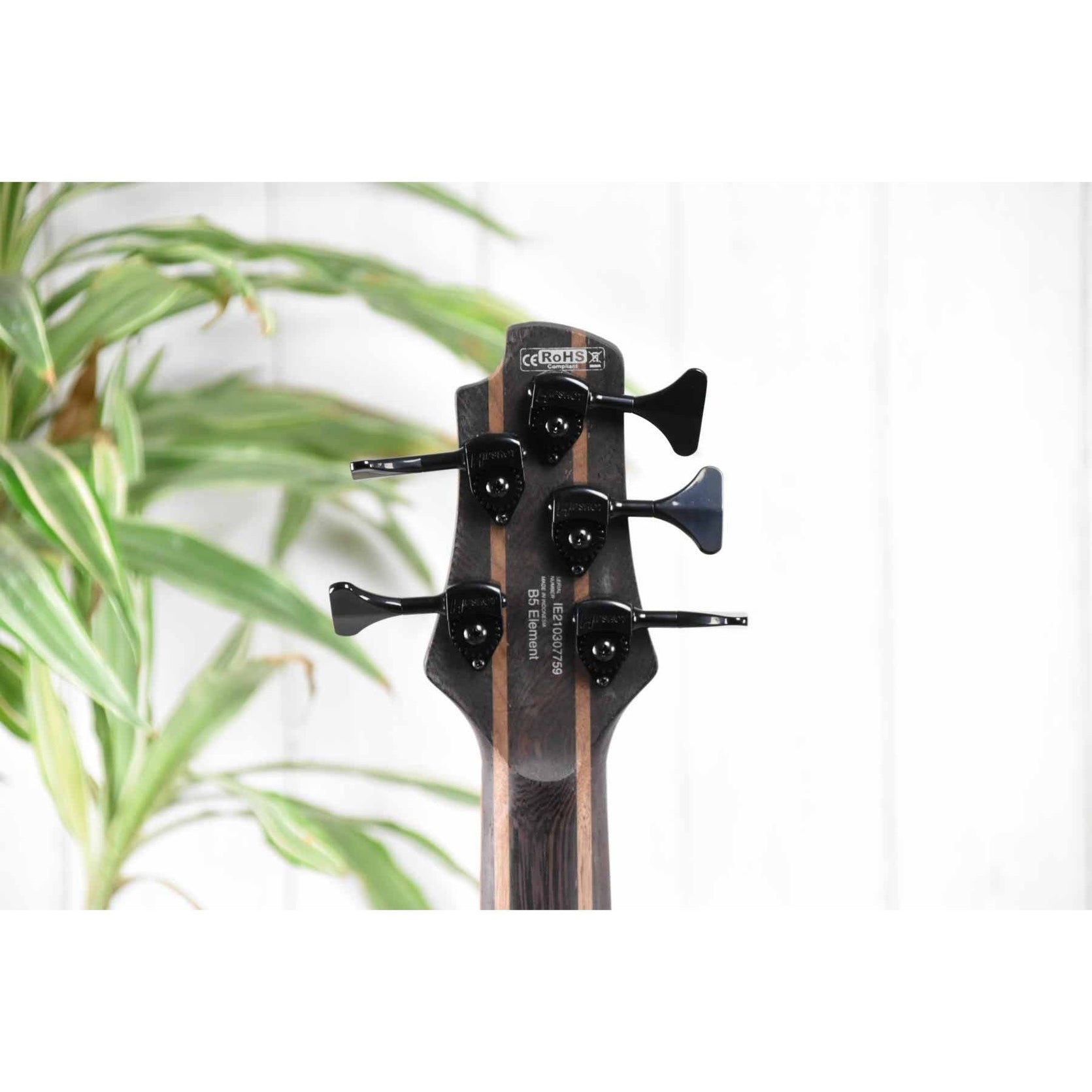 Đàn Guitar Bass 5-dây Cort B5 Element-Mai Nguyên Music