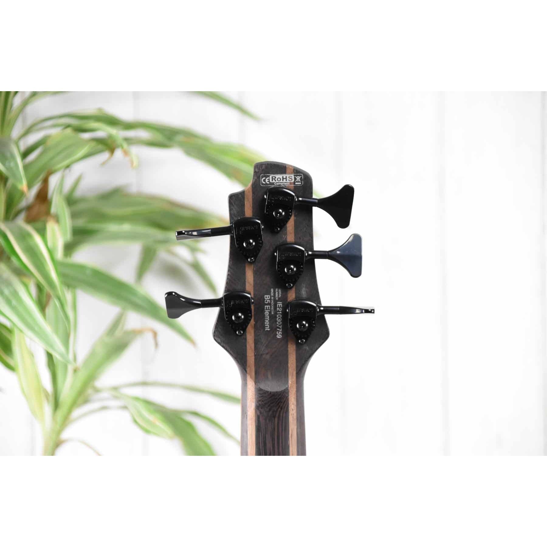 Đàn Guitar Bass 5-dây Cort B5 Element-Mai Nguyên Music