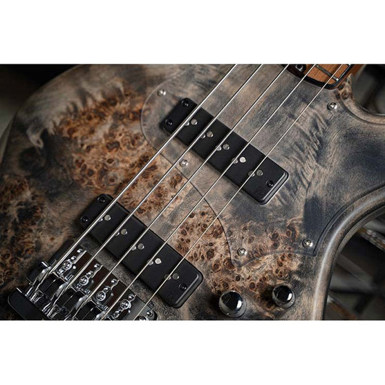 Đàn Guitar Bass 5-dây Cort GB-Modern 5-Mai Nguyên Music