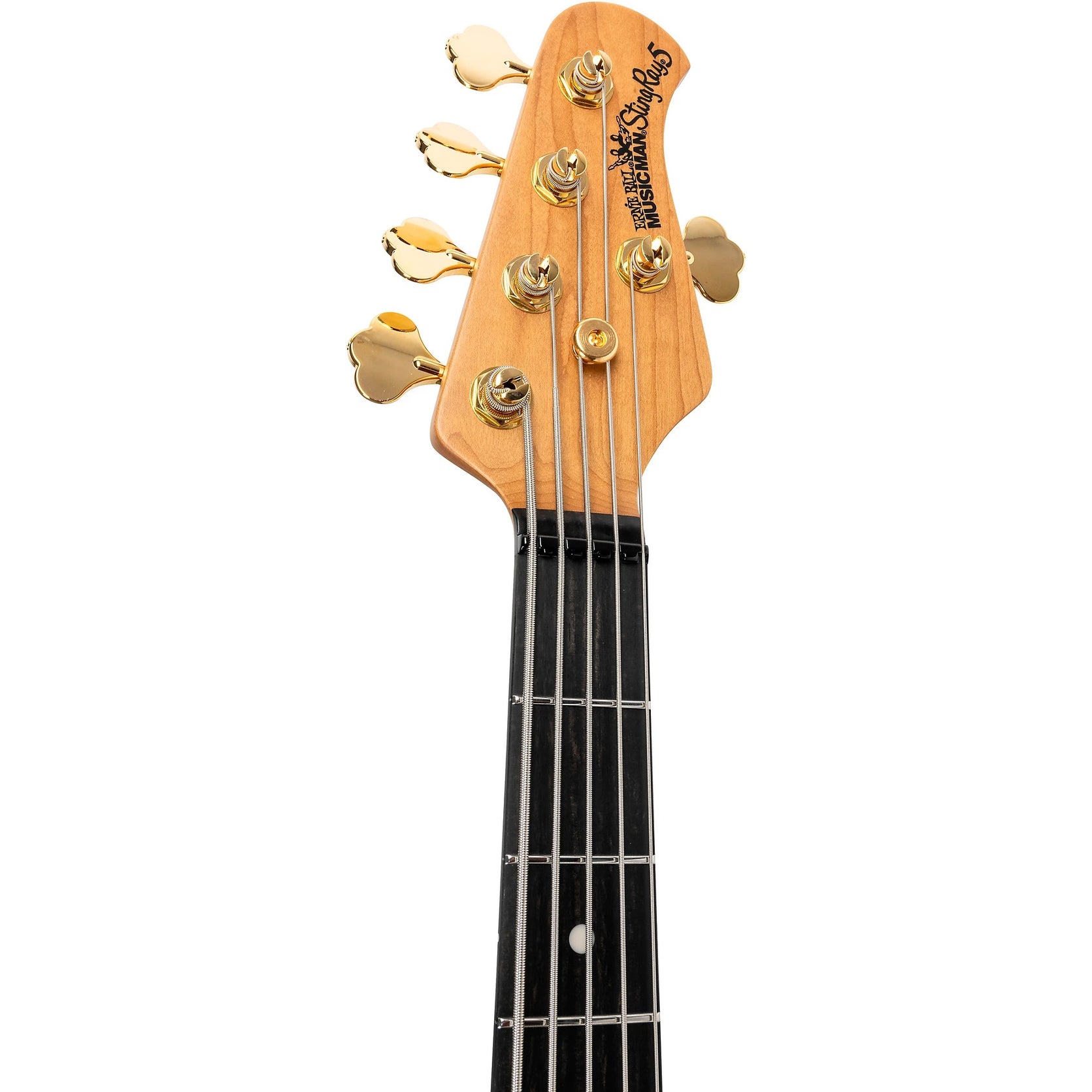 Đàn Guitar Bass 5-dây Ernie Ball Music Man StingRay 5 Special HH-Mai Nguyên Music