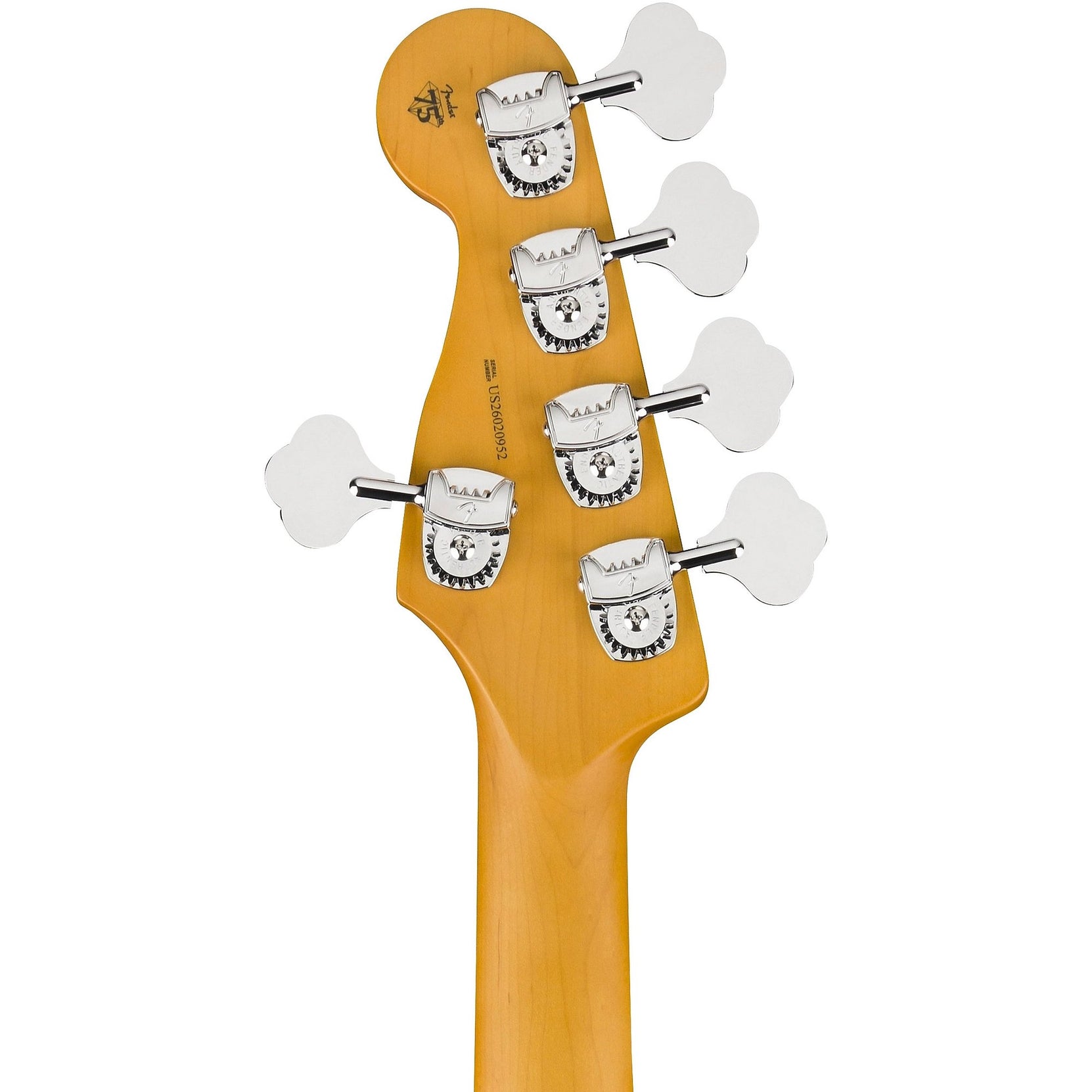 Đàn Guitar Bass 5-dây Fender American Professional Precision Bass V - Rosewood Fingerboard-Mai Nguyên Music