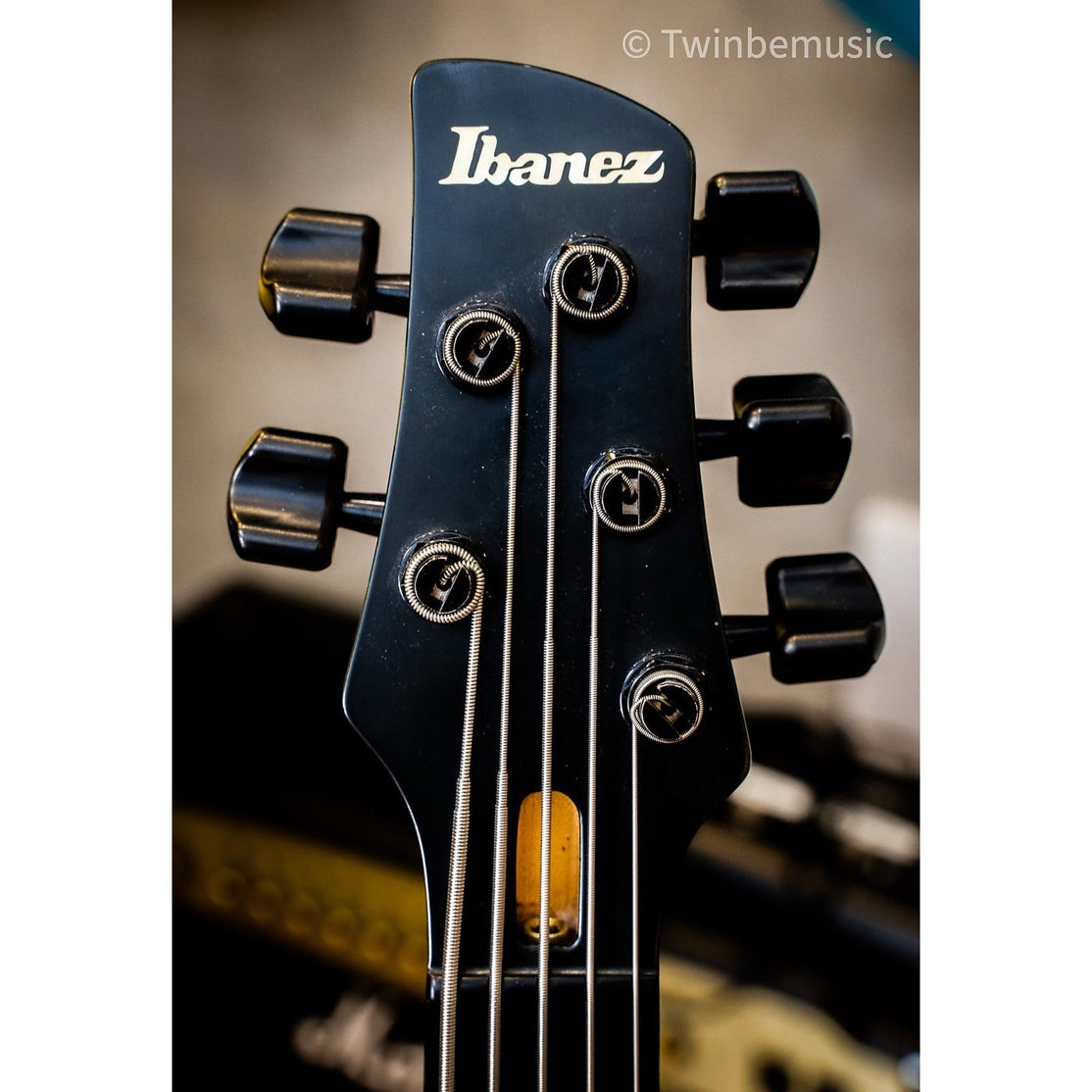 Đàn Guitar Bass 5-dây Fetless Ibanez GWB1005 Gary Willis Signature-Mai Nguyên Music