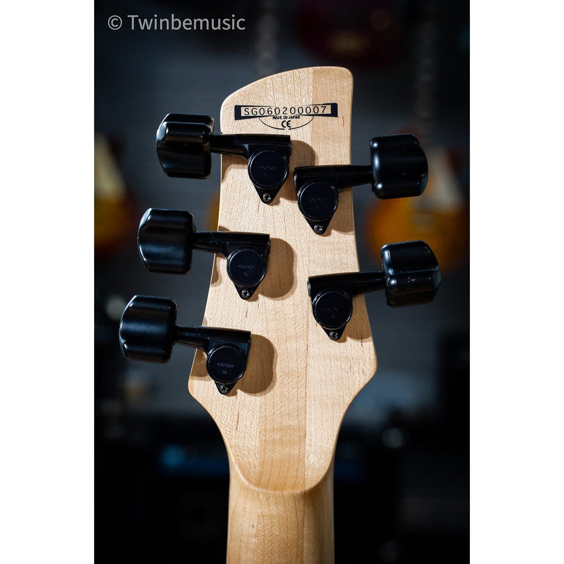 Đàn Guitar Bass 5-dây Fetless Ibanez GWB1005 Gary Willis Signature-Mai Nguyên Music