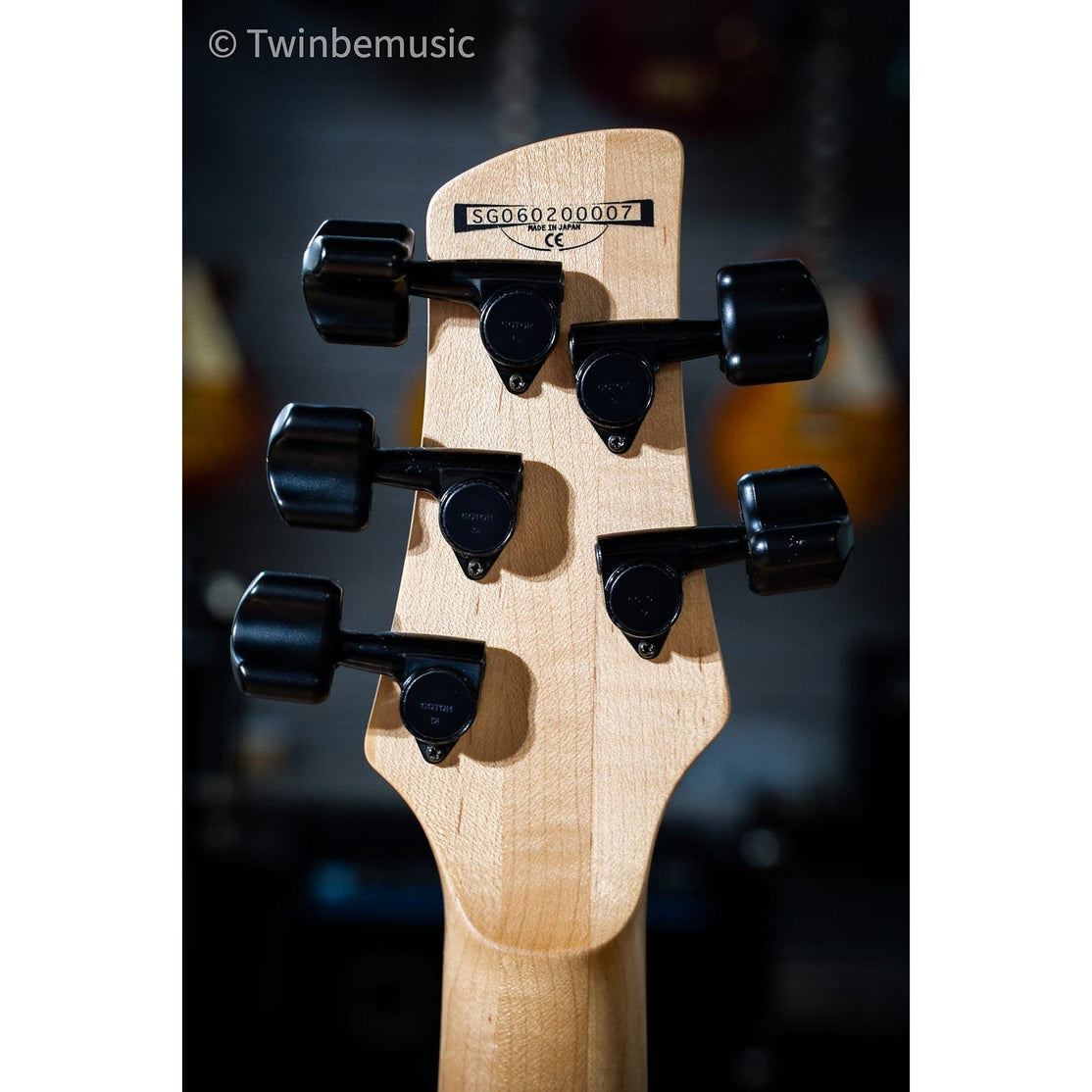 Đàn Guitar Bass 5-dây Fetless Ibanez GWB1005 Gary Willis Signature-Mai Nguyên Music