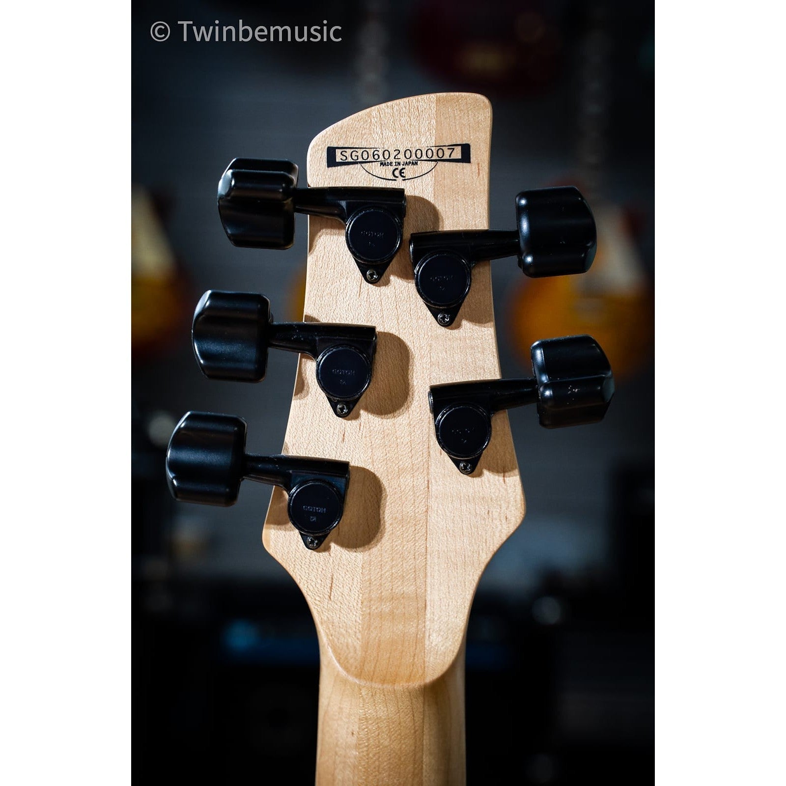 Đàn Guitar Bass 5-dây Fetless Ibanez GWB1005 Gary Willis Signature-Mai Nguyên Music