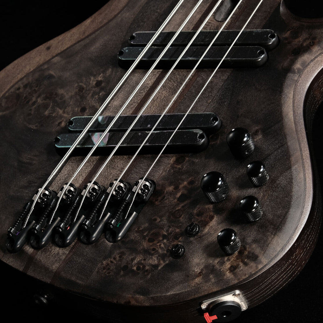 Đàn Guitar Bass 5-dây Ibanez BTB Workshop BTB805MS w/Case, Transparent Gray Flat-Mai Nguyên Music