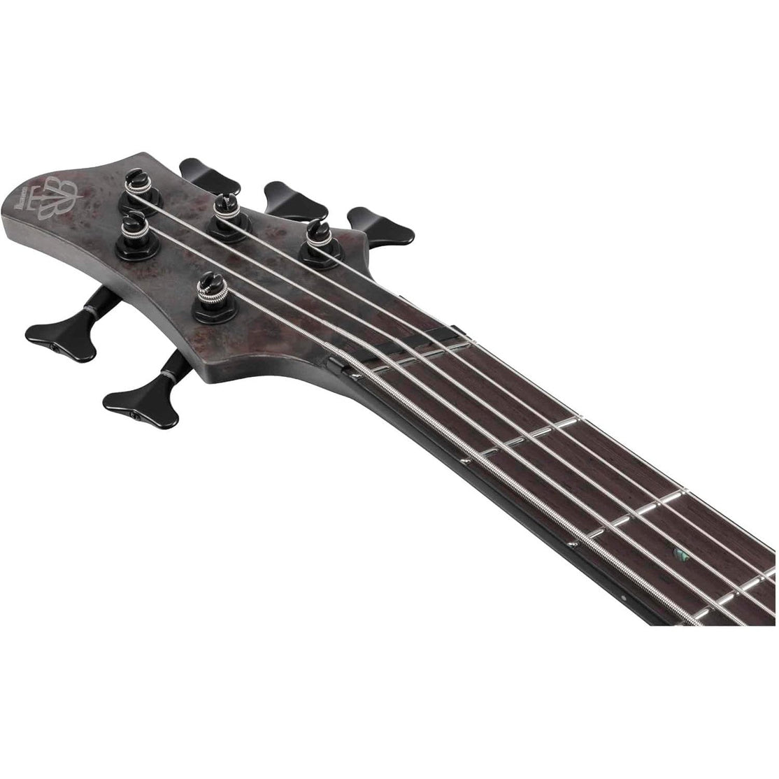 Đàn Guitar Bass 5-dây Ibanez BTB Workshop BTB805MS w/Case, Transparent Gray Flat-Mai Nguyên Music