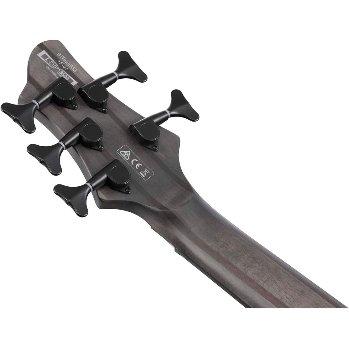 Đàn Guitar Bass 5-dây Ibanez BTB Workshop BTB805MS w/Case, Transparent Gray Flat-Mai Nguyên Music