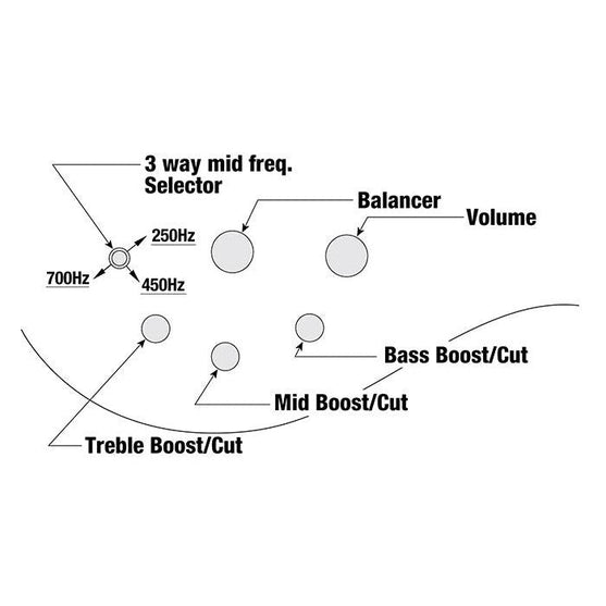 Đàn Guitar Bass 5-dây Ibanez BTB Workshop BTB865SC, Weathered Black Low Gloss-Mai Nguyên Music