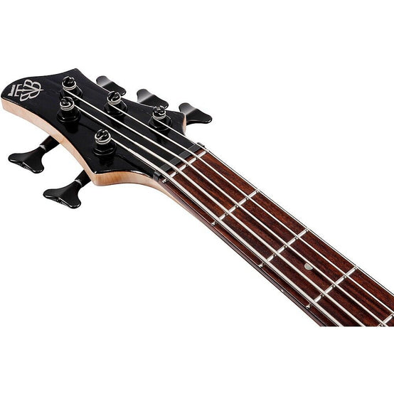 Đàn Guitar Bass 5-dây Ibanez BTB Workshop BTB865SC, Weathered Black Low Gloss-Mai Nguyên Music