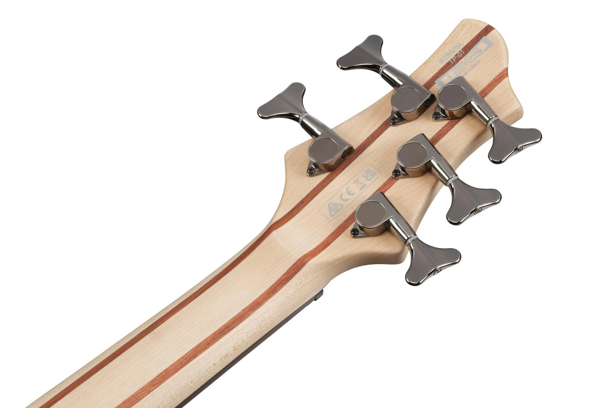 Đàn Guitar Bass 5-dây Ibanez BTB605L Left Handed - Trans Gray Flat