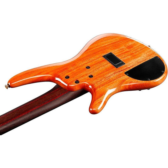 Đàn Guitar Bass 5-dây Ibanez SR Premium SR1605DW w/Bag, Autumn Sunset Sky-Mai Nguyên Music