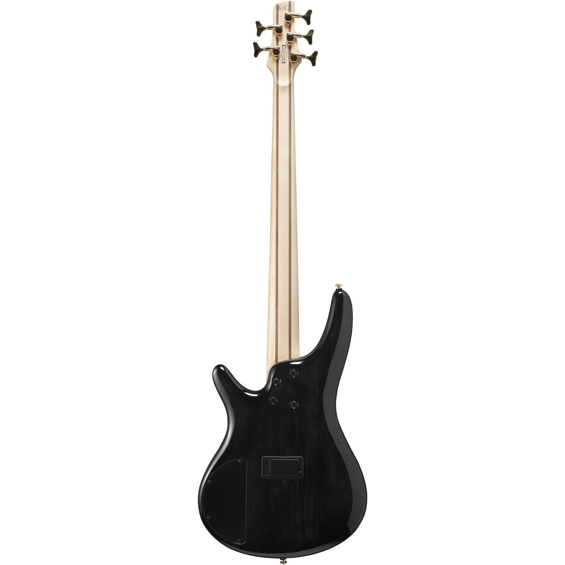 Đàn Guitar Bass 5-dây Ibanez SR Standard SR405EPBDX, Tropical Seafloor Burst-Mai Nguyên Music