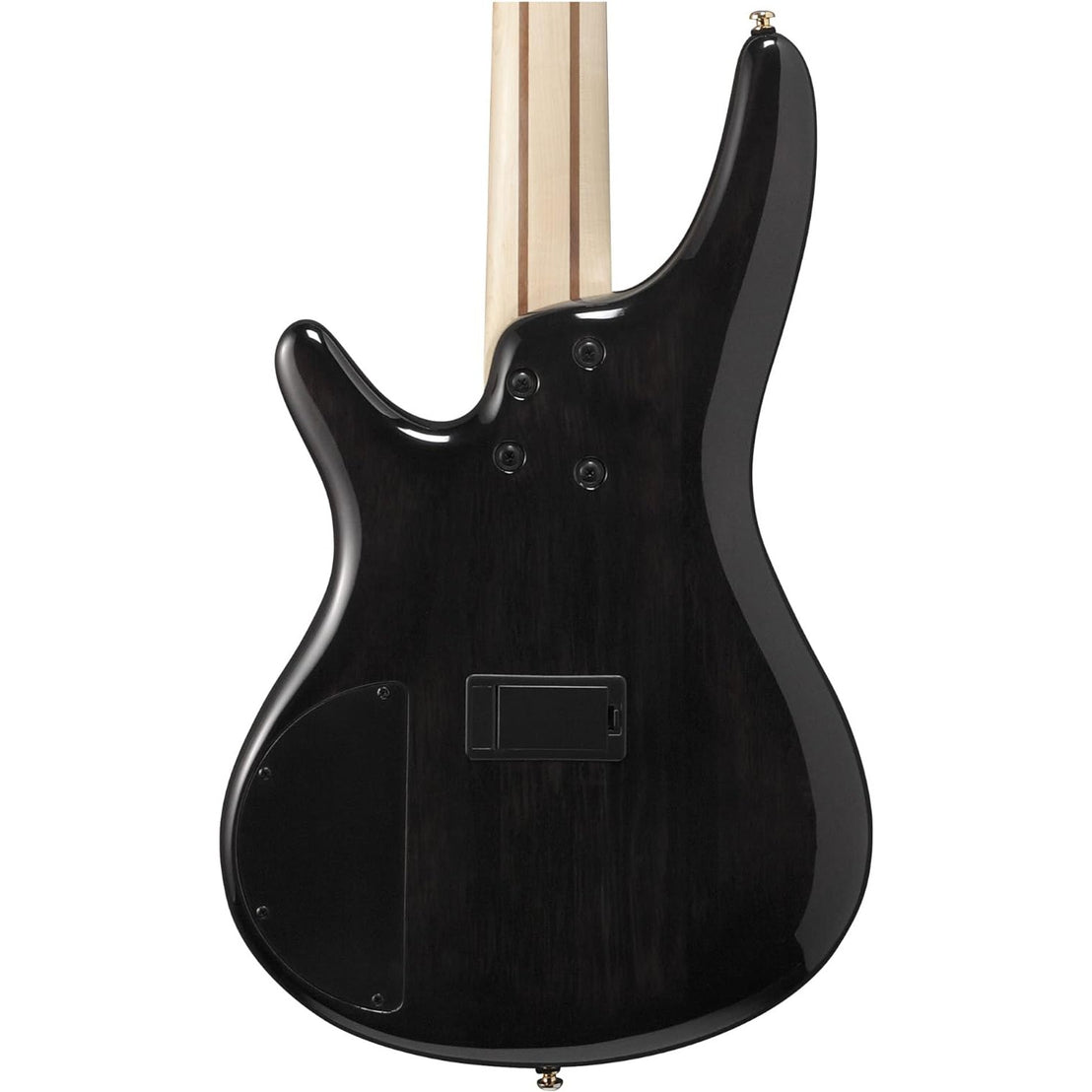 Đàn Guitar Bass 5-dây Ibanez SR Standard SR405EPBDX, Tropical Seafloor Burst-Mai Nguyên Music