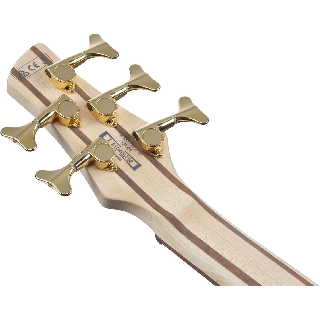 Đàn Guitar Bass 5-dây Ibanez SR Standard SR405EPBDX, Tropical Seafloor Burst-Mai Nguyên Music