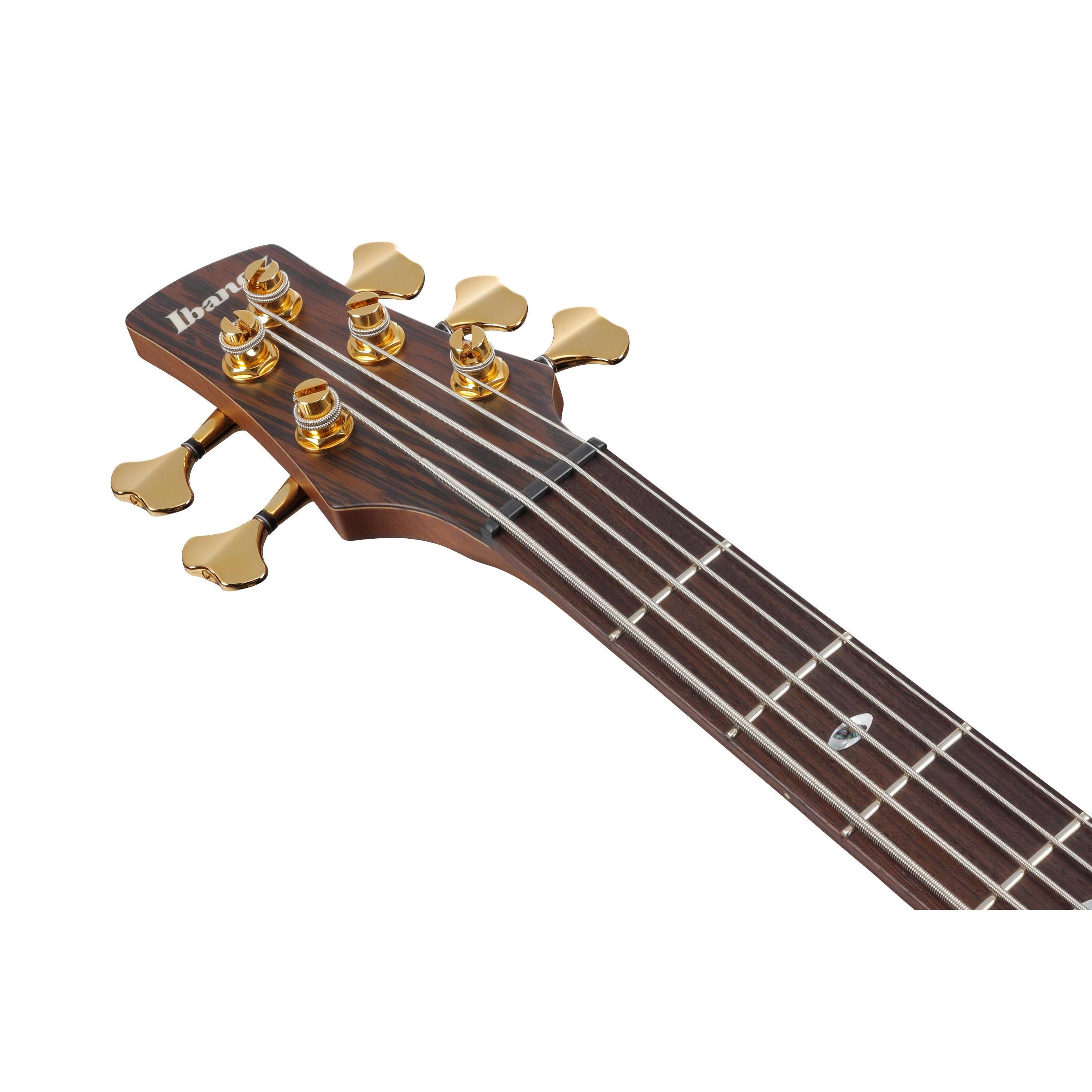 Đàn Guitar Bass 5-dây Ibanez SR5505 SR Prestige - Mocha Flat-Mai Nguyên Music